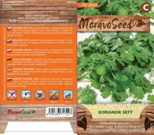 Koriandr setý - Coriandrum sativum