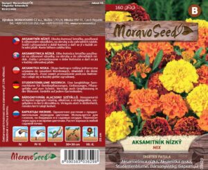 Aksamitník nízký - Tagetes patula - Směs