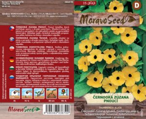 Černooká Zuzana - Thunbergia alata