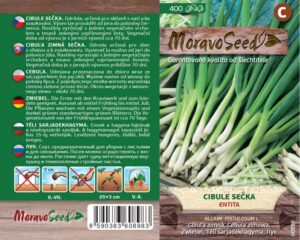 Cibule sečka -Allium fistulosum L. -  ENTITA