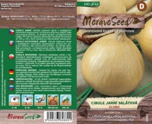 Cibule jarní salátová - Allium cepa L. - GLOBO
