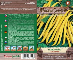 Fazol pnoucí - Phaseolus vulgaris - GOLDMARIE - žlutý