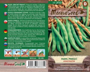 Fazol pnoucí - Phaseolus vulgaris - KONSTANTIN - zelený