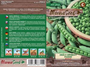 Hrách dřeňový pozdní - Pisum sativum