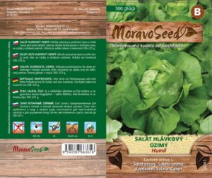 Salát hlávkový - Lactuca sativa - HUMIL - ozimý