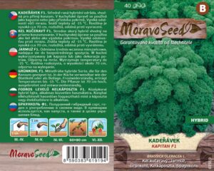 Kadeřávek zelený - Brassica oleracea L. - KAPITAN F1
