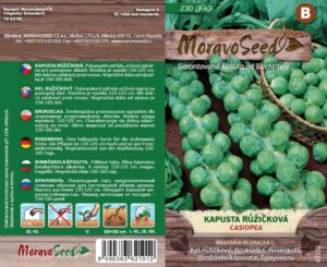 Kapusta růžičková - Brassica oleracea - CASIOPEA