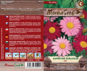 Kopretina šarlatová - Tanacetum coccineum