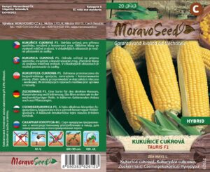 Kukuřice cukrová - Zea Mays - TAURIS F1