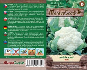 Květák raný - Brassica oleracea - BETA