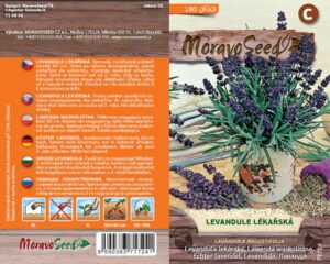 Levandule lékařská - Lavandula angustifolia