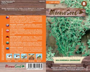 Majoránka zahradní - Origanum majorana