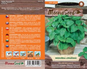 Meduňka lékařská - Melissa officinalis
