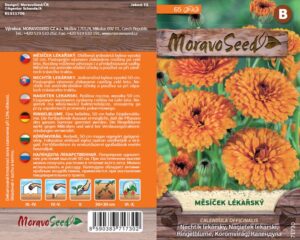 Měsíček lékařský - Calendula officinalis