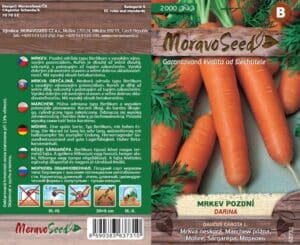 Mrkev pozdní - Daucus carota L. - DARINA