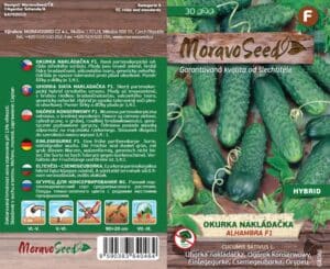 Okurka nakládačka hruboostná - Cocumis sativus - ALHAMBRA F1