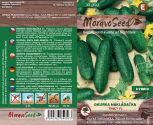 Okurka nakládačka jemnoostná - Cocumis sativus - TWIGY F1