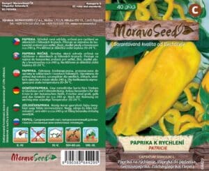 Paprika k rychlení - Capsicum annum - PATRICIE