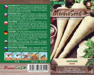 Pastiňák - Pastinaca sativa L. - KAMO