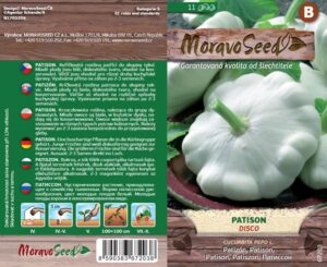 Patison bílý - Cucurbita pepo - DISCO