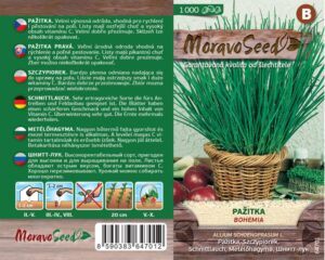 Pažitka pravá - Allium schoenoprasum - BOHEMIA