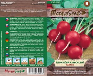 Ředkvička - Raphanus sativus - FARAON - červená kulatá k rychlení