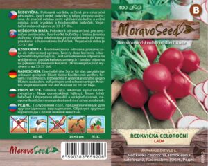 Ředkvička - Raphanus sativus - LADA -  červená kulatá celoroční