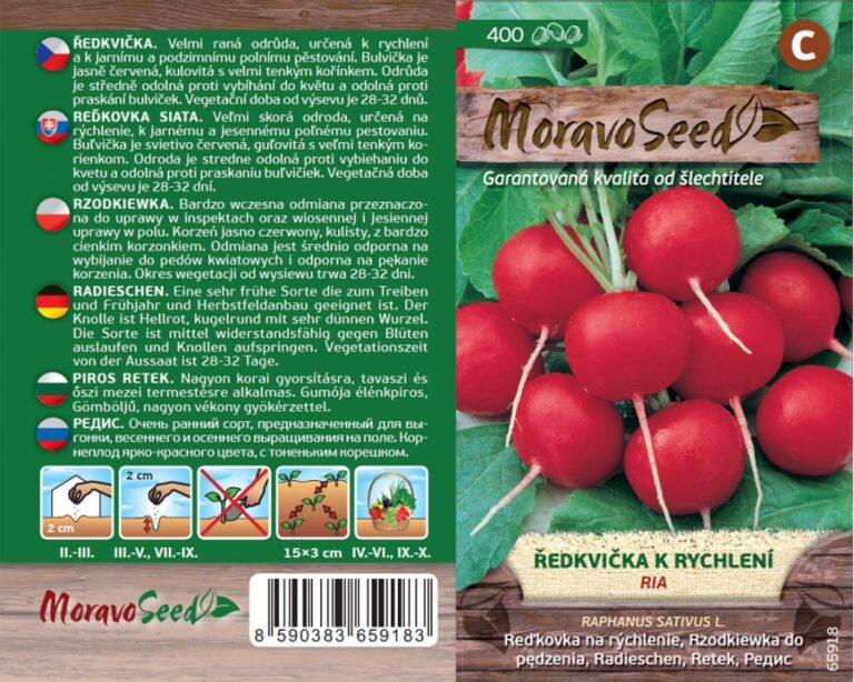 BIO semínka na klíčení a pěstování | Hnojík.cz