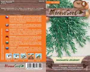 Rozmarýn lékařský - Rosmarinus officinalis