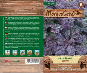 Kadeřávek červený - Brassica oleracea L. - SCARLET