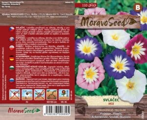 Svlačec trojbarevný nízký - Convolvulus tricolor - Směs