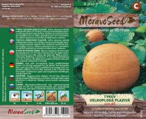 Tykev velkoplodá - Cucurbita maxima - GOLIÁŠ  - plazivá