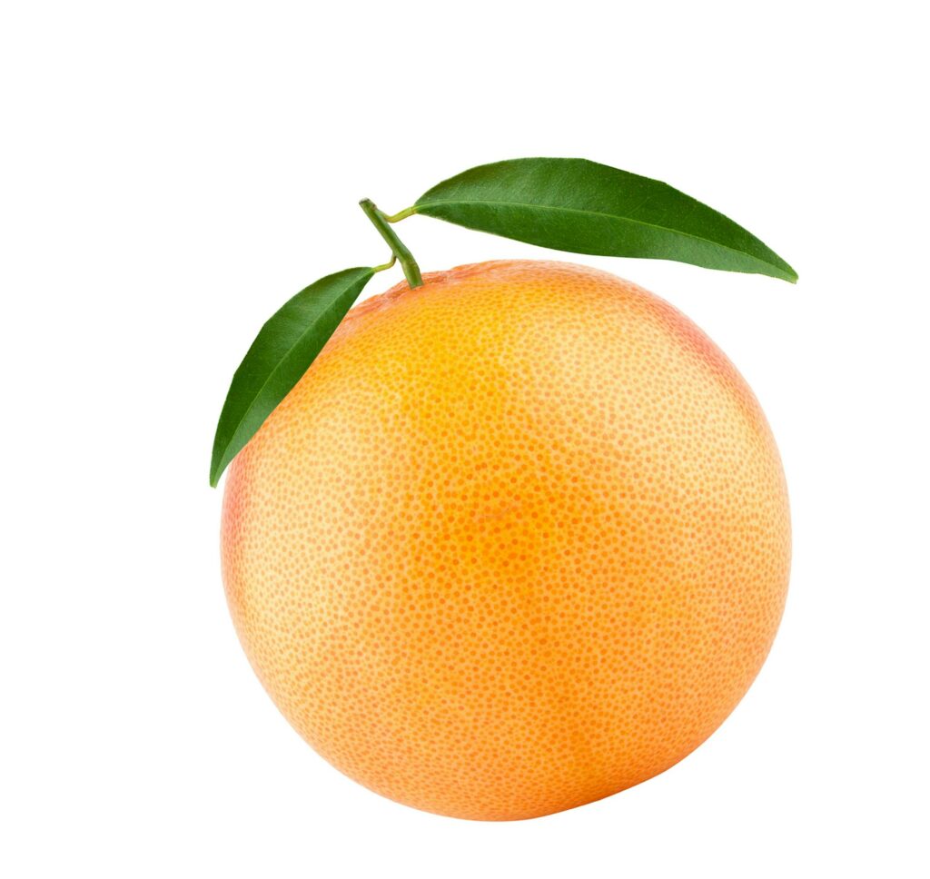 grapefruit - plod s lístkami na bílém pozadí.