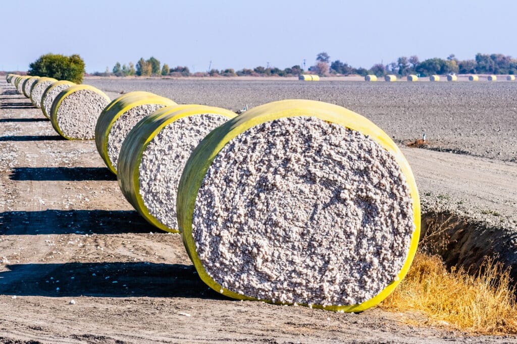 Cotton bales