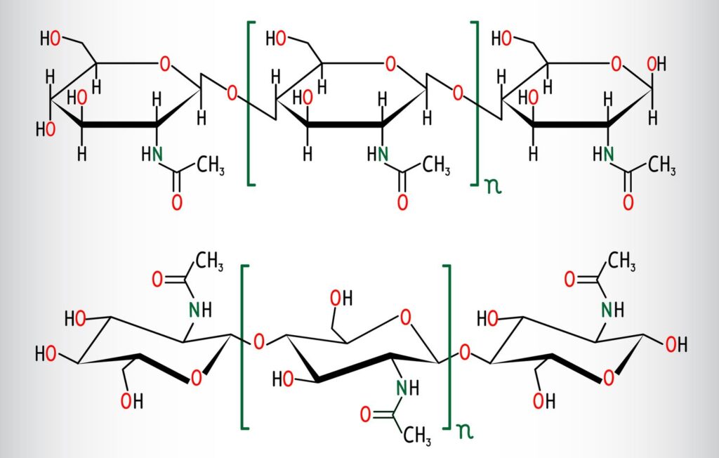 Chitin vzorec