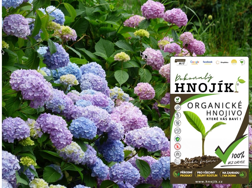 Hnojivo na hortenzie 4 Hnojík - hnojivo na hortenzie.