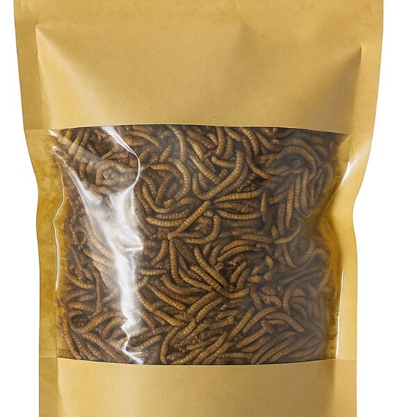 Sušení mouční červi 250g