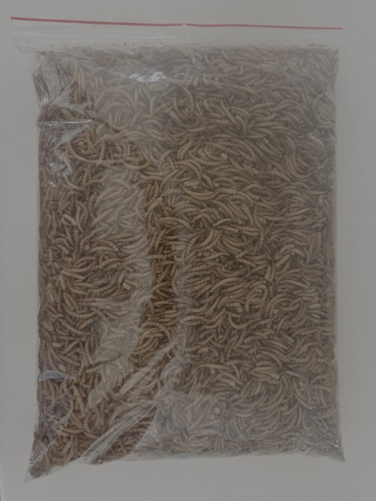 Sušení mouční červi 1kg