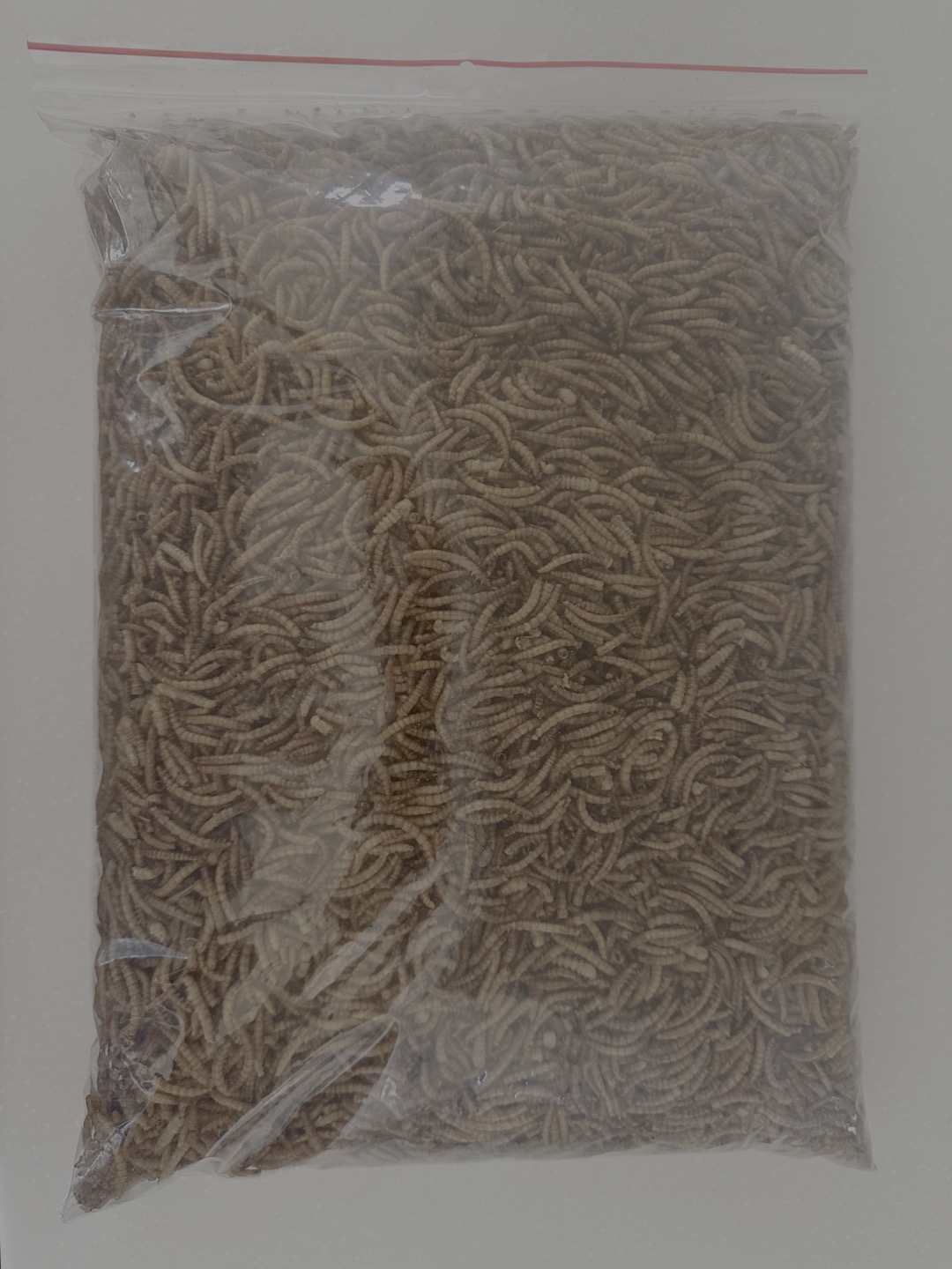 Sušení mouční červi 1kg