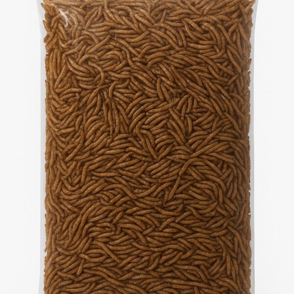 Sušení mouční červi 1kg