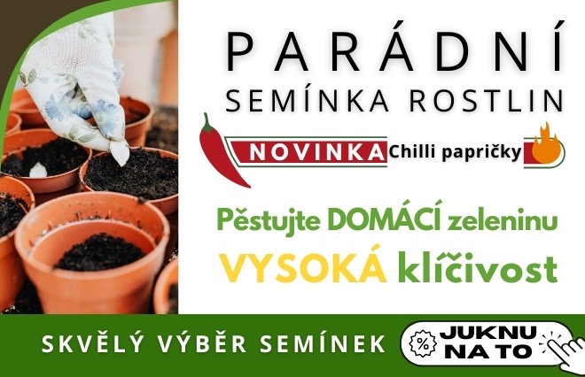 hnojík semínka moravoseed