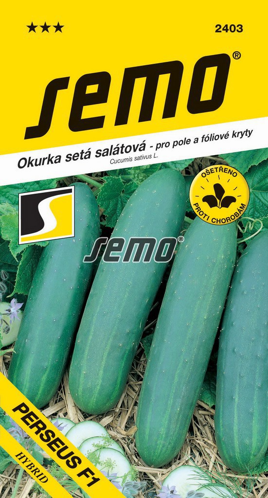 Okurka setá salátová Perseus F1