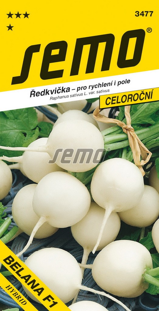 Ředkvička Belana F1 -raná, bílá, kulatá