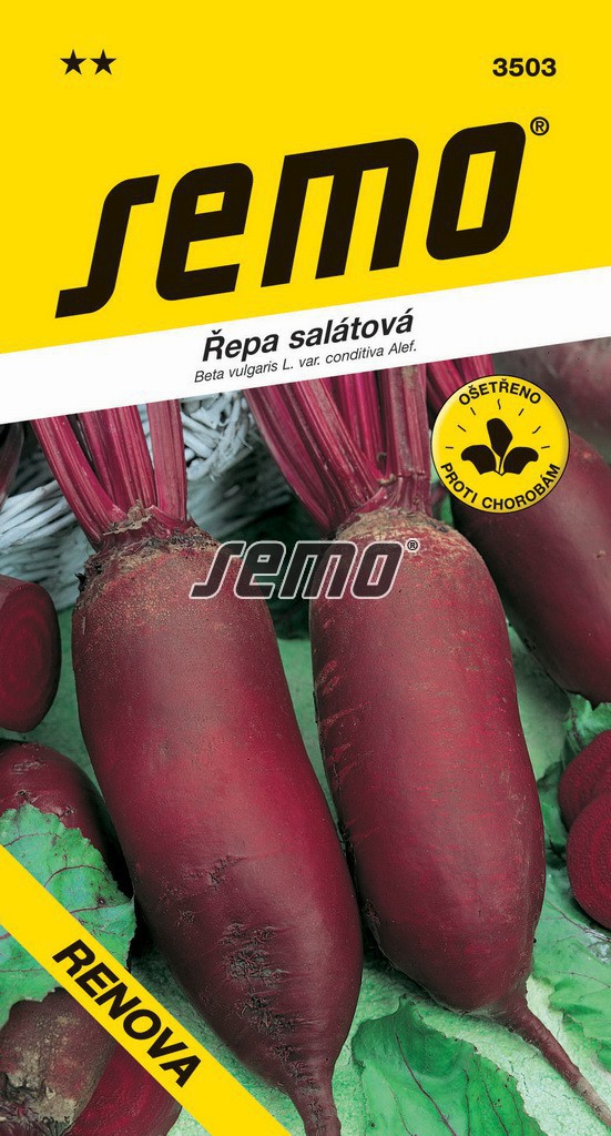 Řepa salátová Renova - podlouhlá