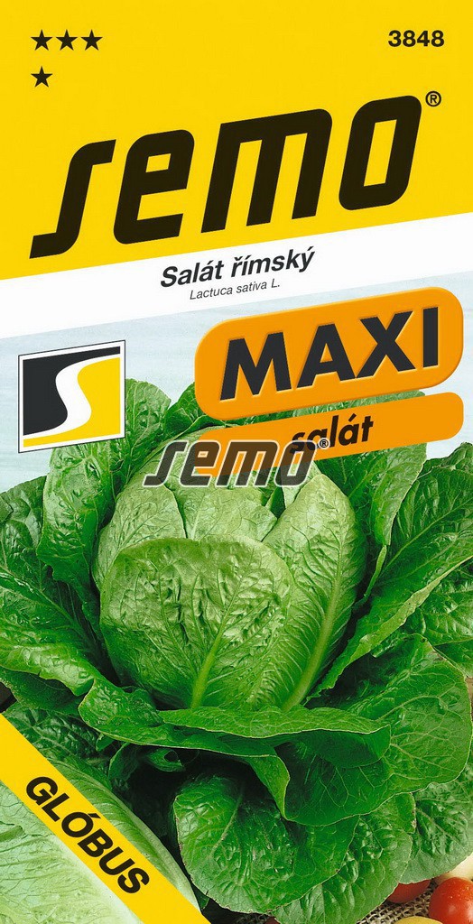 Salát římský GLÓBUS