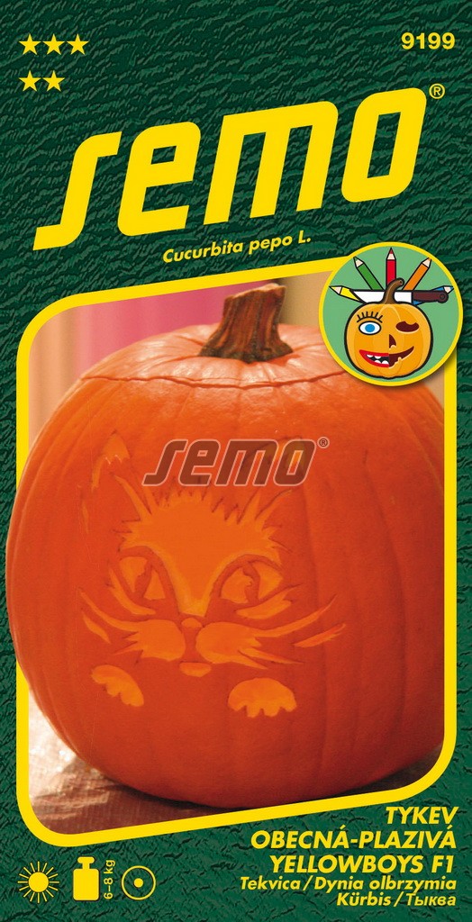Tykev velkoplodá YELLOWBOYS F1 - na Helloween, na vaření, plod 8-10 kg