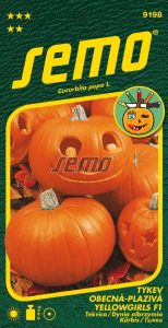 Tykev velkoplodá YELLOWGIRLS F1 - na Helloween, na vaření, plod 4-6 kg