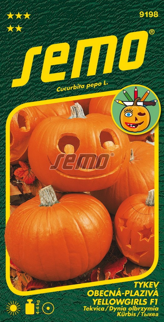 Tykev velkoplodá YELLOWGIRLS F1 - na Helloween, na vaření, plod 4-6 kg