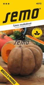 Tykev muškátová MOSCATA DI PROVENZA - 8-10 kg