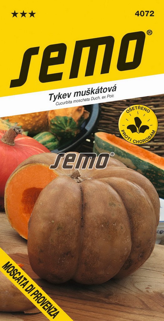 Tykev muškátová MOSCATA DI PROVENZA - 8-10 kg
